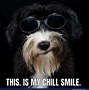 Image result for Smiling Dog Meme 1080