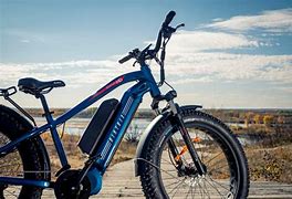 Image result for Biktrix Electric Bikes