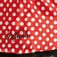 Image result for Minnie Mouse Black Dress
