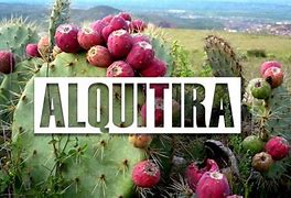 Image result for alquiti4a