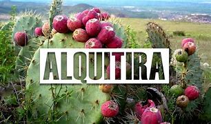 Image result for alquitirs