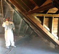Image result for Bats Out of Attic