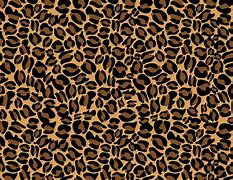 Image result for Cheetah Pring Monitor