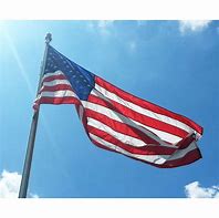 Image result for Ameriflag