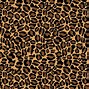 Image result for Cheetah Print Pink N Black
