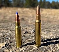 Image result for 30 06 vs 308 Rifle