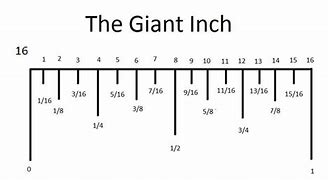 Image result for What Does 6 Inches Look Like