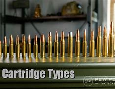 Image result for Bullet Cartridge Primer
