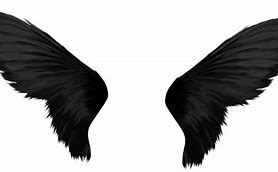 Image result for black wings