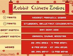 Image result for 1999 Year of the Rabbit