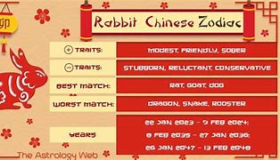 Image result for Year of the Rabbit Luxury Goods