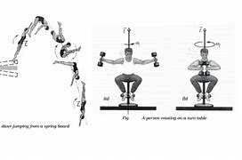 Image result for Diving and Angular Momentum
