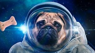 Image result for Floating in Space Funny