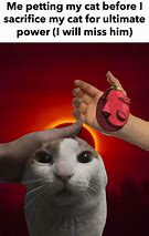 Image result for Sacrifice Cat Meme