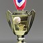 Image result for NBA Cup Medals