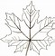 Image result for Leaf Line Drawing Pattern