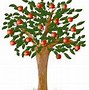 Image result for Apple Tree Identification Chart