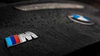 Image result for BMW Vines Key Ring