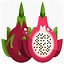 Image result for Dragon Fruit Icon
