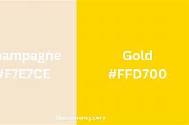 Image result for Cream Gold vs Champagne