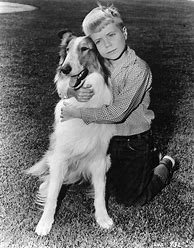 Image result for "Lassie TV Series"