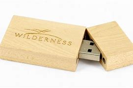 Image result for Novelty USB Flash Drives