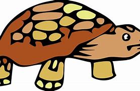Image result for Tortoise Clip Art