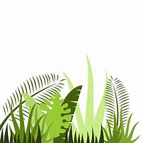 Image result for Cartoon Jungle Leaves