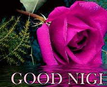 Image result for 3D Good Night Roses