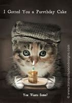 Image result for Funny Cat Birthday Wish