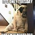 Image result for End of Tuesday Meme
