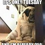 Image result for Sunny Tuesday Meme