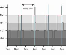 Image result for REM Sleep Wikiepdia