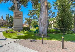 Image result for Hayakawa SF State University