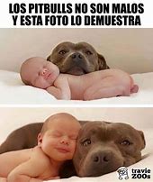Image result for Funny Baby Animal Memes