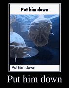 Image result for Isopod Rupert Meme