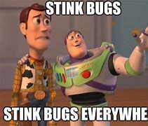 Image result for Stink Bug Meme