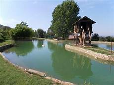 focus on acqua 1 dottor focus on acqua 3 la fitodepurazione dottor ambiente focus on acqua 1 dottor focus on acqua 3 la fitodepurazione dottor ambiente
