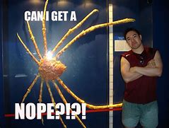 Image result for Japanese Spider Crab Meme