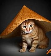 Image result for Cat with Rice Hat
