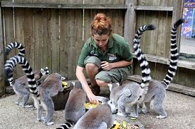 Image result for Zookeeper People