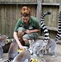 Image result for Zookeeper Monkey