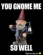 Image result for Old Gnome Meme