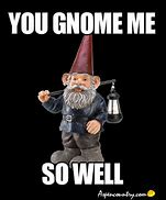 Image result for Gnome Dank Memes Wallpaper