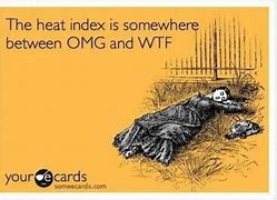 Image result for Funny Memes About Heat