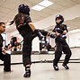 Image result for One Martial Arts