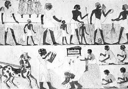 Image result for Ancient Egypt Farming Tools