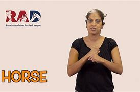 Image result for Sign Language Horse