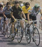 Image result for Sean Kelly Cycling