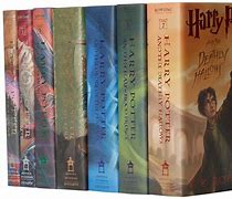 Image result for The Every Book